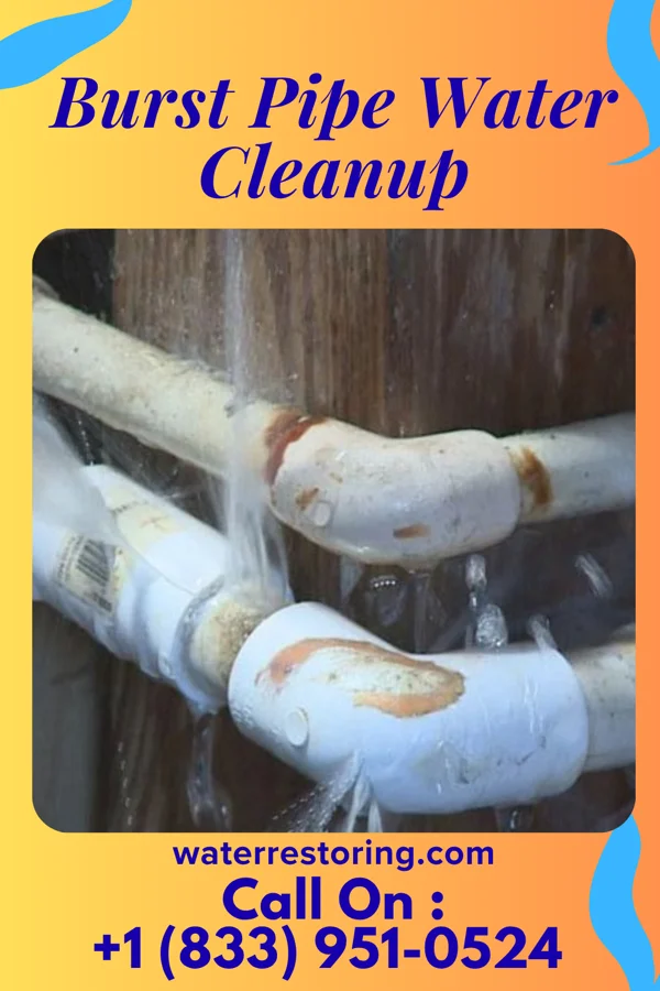 Burst Pipe Water Cleanup in Windsor, VA