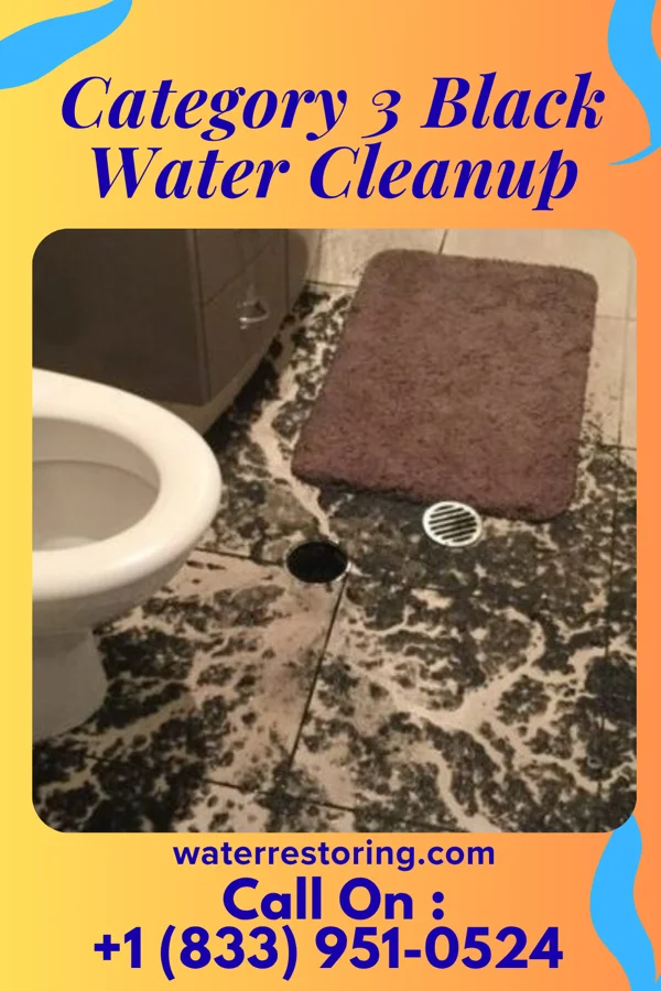 Category 3 Black Water Cleanup in Windsor, VA