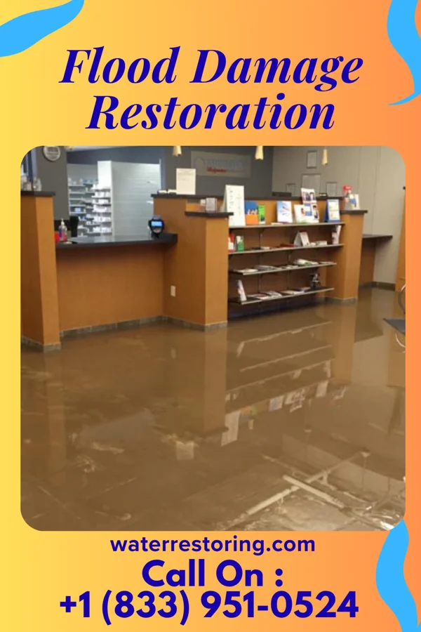 Flood Damage Restoration in Windsor, VA
