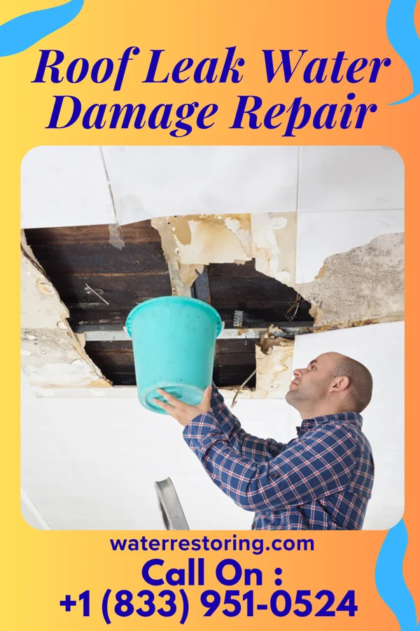 Roof Leak Water Damage Repair in Windsor, VA