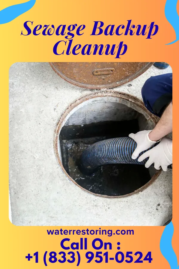 Sewage Backup Cleanup in Windsor, VA