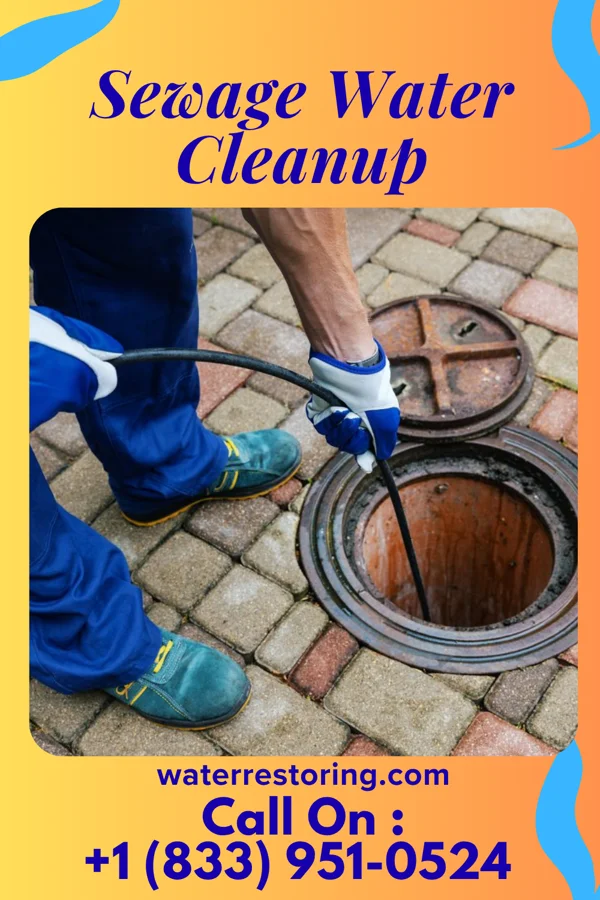Sewage Water Cleanup in Windsor, VA